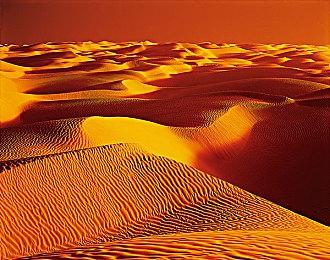 舅舅党爆料《死亡搁浅》加入PC Game Pass 明日发公告